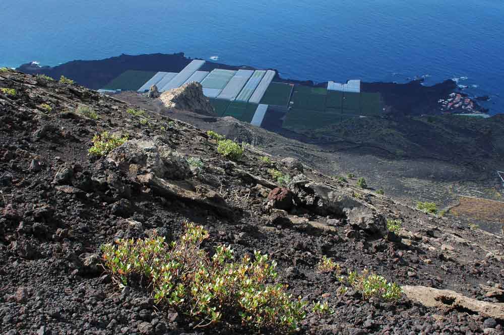 47 - La Palma, paisaje